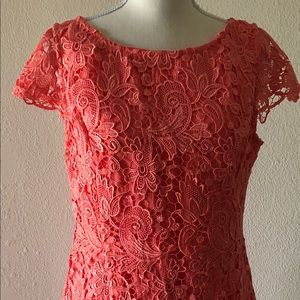 Lace dress Vince Camuto